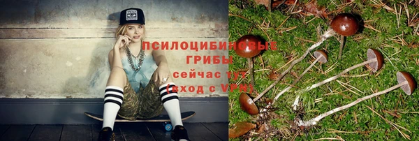 mix Верхний Тагил