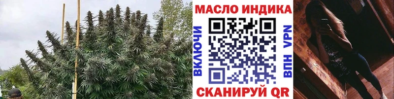 Дистиллят ТГК концентрат  продажа наркотиков  Александровское 