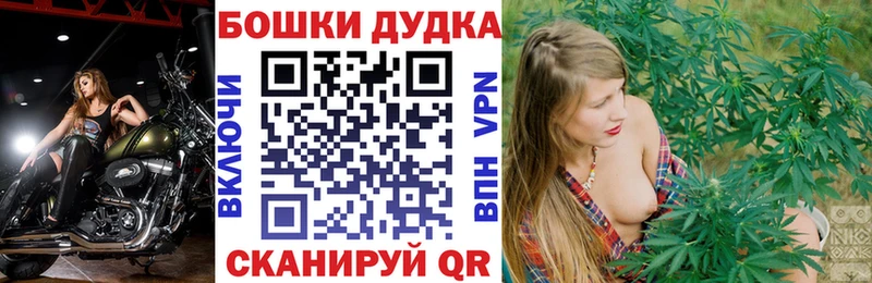 Бошки марихуана THC 21%  shop как зайти  Александровское 